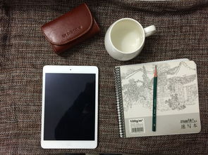 迷你相机品牌深度解析