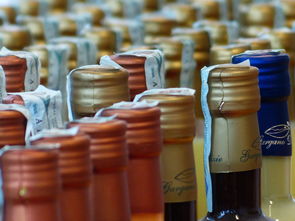 石家庄散装白白酒品牌推荐