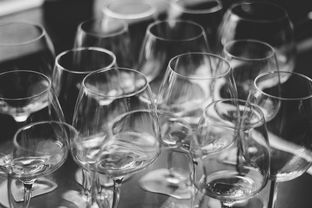 石家庄散装白白酒品牌推荐