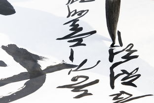 揭秘南京市中考书法品牌教材，传承文化，提升素养