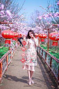 汉服贵妇品牌，传统之美，现代之选