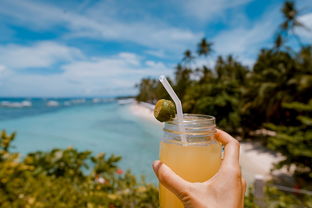 夏日出行必备—品牌夏季旅行水杯，清凉一夏从此开始！