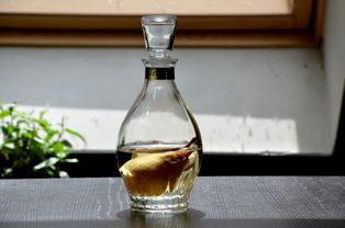 轻松查水杯品牌，这些方法让你不再迷茫！