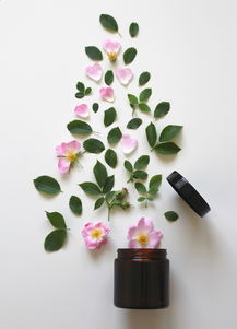 坚果品牌名字美甲—璀璨绽放