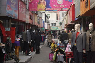临汾品牌玩具，品质之选，市场新宠