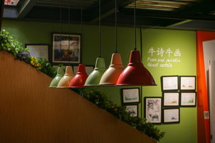 客厅餐厅用不同品牌灯具，打造个性化照明空间