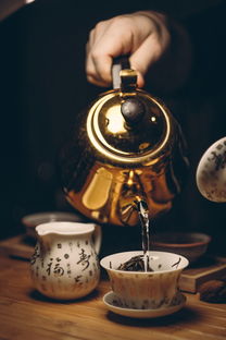 探索早餐厨具品牌的多样化选择