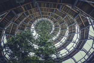 福建专业简约门窗品牌推荐