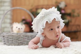 婴儿裙子童装品牌—探索舒适与时尚的完美融合