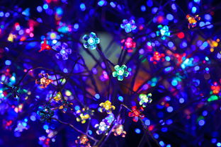 LED灯具一线品牌盘点