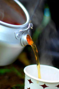 茶叶排名前十品牌介绍