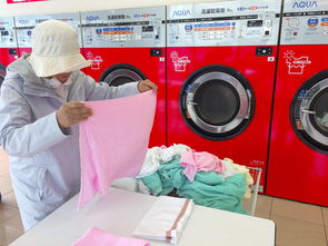 上海高质量卫浴模具品牌概览