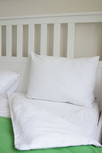 挖掘机睡眠枕头推荐品牌推荐