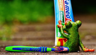 盘点那些陪伴小学生成长的牙刷品牌，呵护口腔健康从小做起！