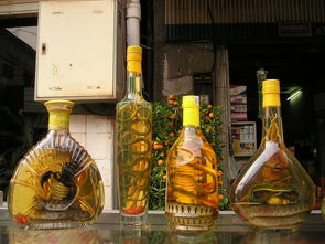 中国口感前十白酒品牌榜单及案例解析
