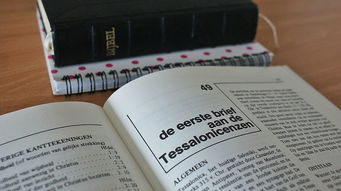 中国的卫生纸品牌排名及案例分析