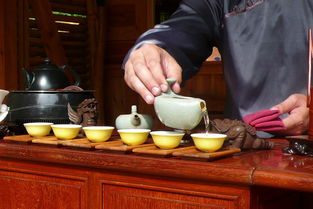 好品牌茶叶好，品质与口碑的双重见证