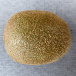 十大品牌鸡蛋面膜推荐