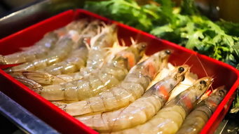 本地餐饮西餐推荐品牌