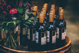 江苏酒白酒品牌之探索与实践
