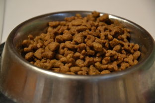 探秘小吃猫—一家让你喵上瘾的美食品牌