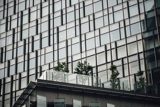 打造家居美学，板材品牌的精选与应用