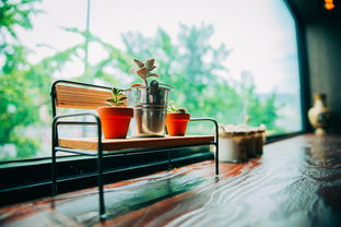 品牌石中泉茶叶—品质与传奇的茶叶之旅