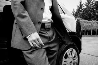 男士西服品牌17，深度解读与案例分析