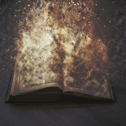 品牌木地板与砖头—美观度大比拼