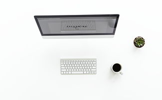 打造个性化办公体验—品牌耳机、鼠标、键盘大比拼