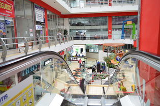 全国奶茶店品牌大全，品牌特色与案例分析