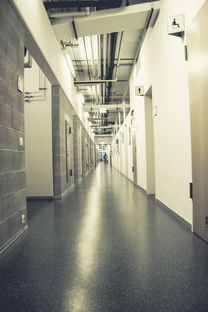 湖南学校防静电地板品牌精选指南
