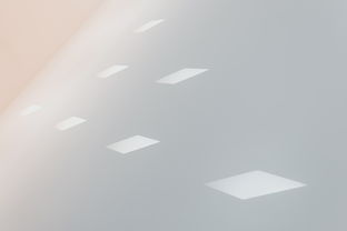 白色墙面涂料品牌推荐与案例分析