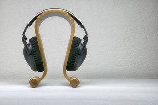 立体声耳机品牌推荐与案例分析