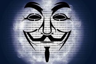 揭秘国外顶级鼠标品牌，那些让你点石成金的神奇之作