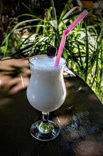 广州待客用白酒代理品牌推荐