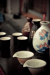 陶瓷养生壶十大排名品牌大盘点，养生生活从此开始！