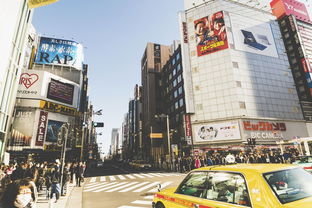 玩具城市品牌崛起之路