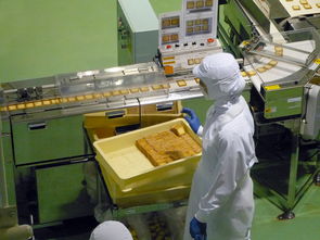 贵州品牌扫地机厂家地址与案例分析