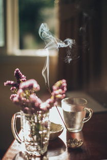 奶茶新风潮，探索不含糖奶茶品牌的世界