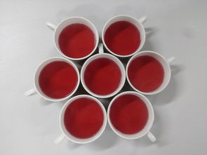 熊猫水杯，一杯水的温暖，一份文化的传承