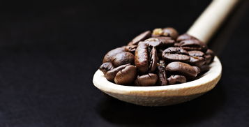 散装奶茶品牌推荐，品质与口感并重的美妙世界