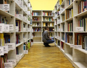 北京舞蹈学院品牌建设与案例分析